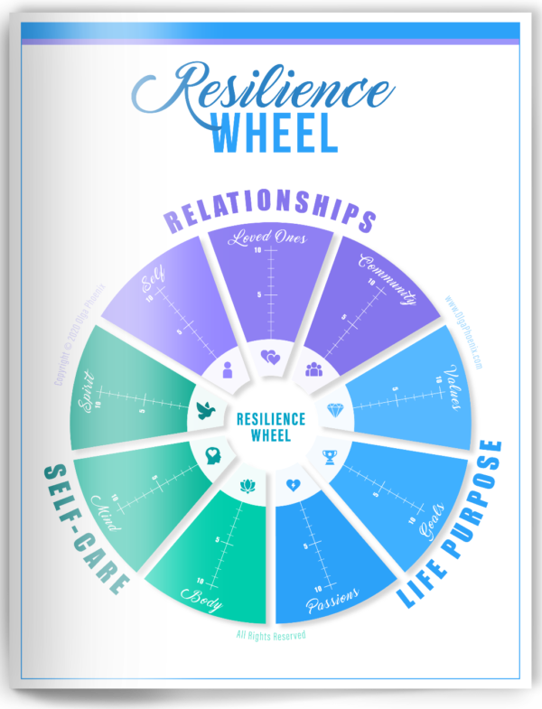 Resilience Wheel Assessment