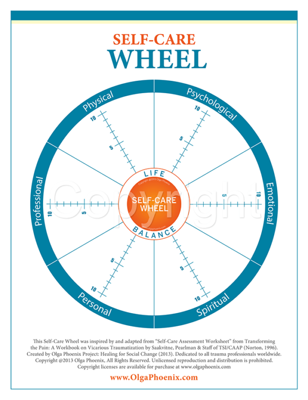 Self-Care Wheel Assessment, Watermarked Image