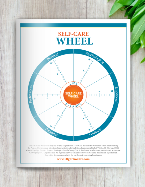 Classic Self Care Wheel Assessment