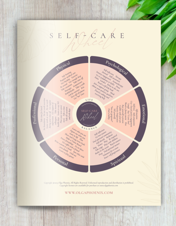 Self Care Wheel in Morning Rose Blush Palette