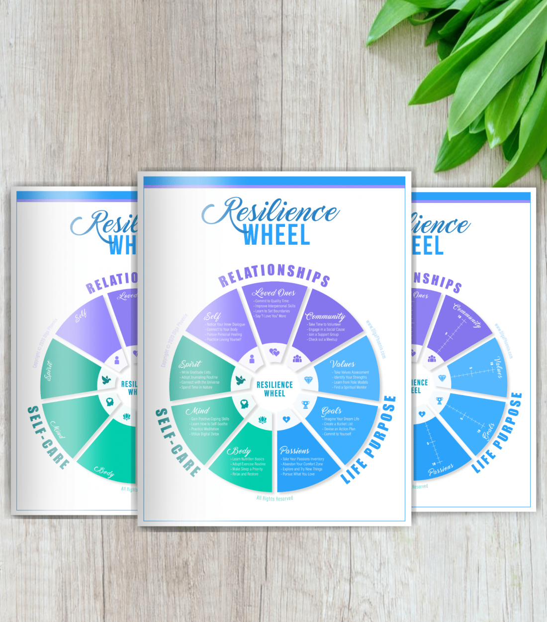 The Resilience Wheel, the Resilience Wheel Assessment, and the Create-Your-Own Resilience Wheel