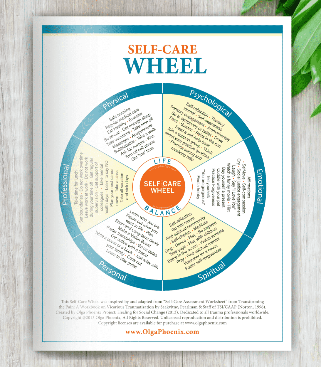 self care wheel world s 1 self care tool olga phoenix