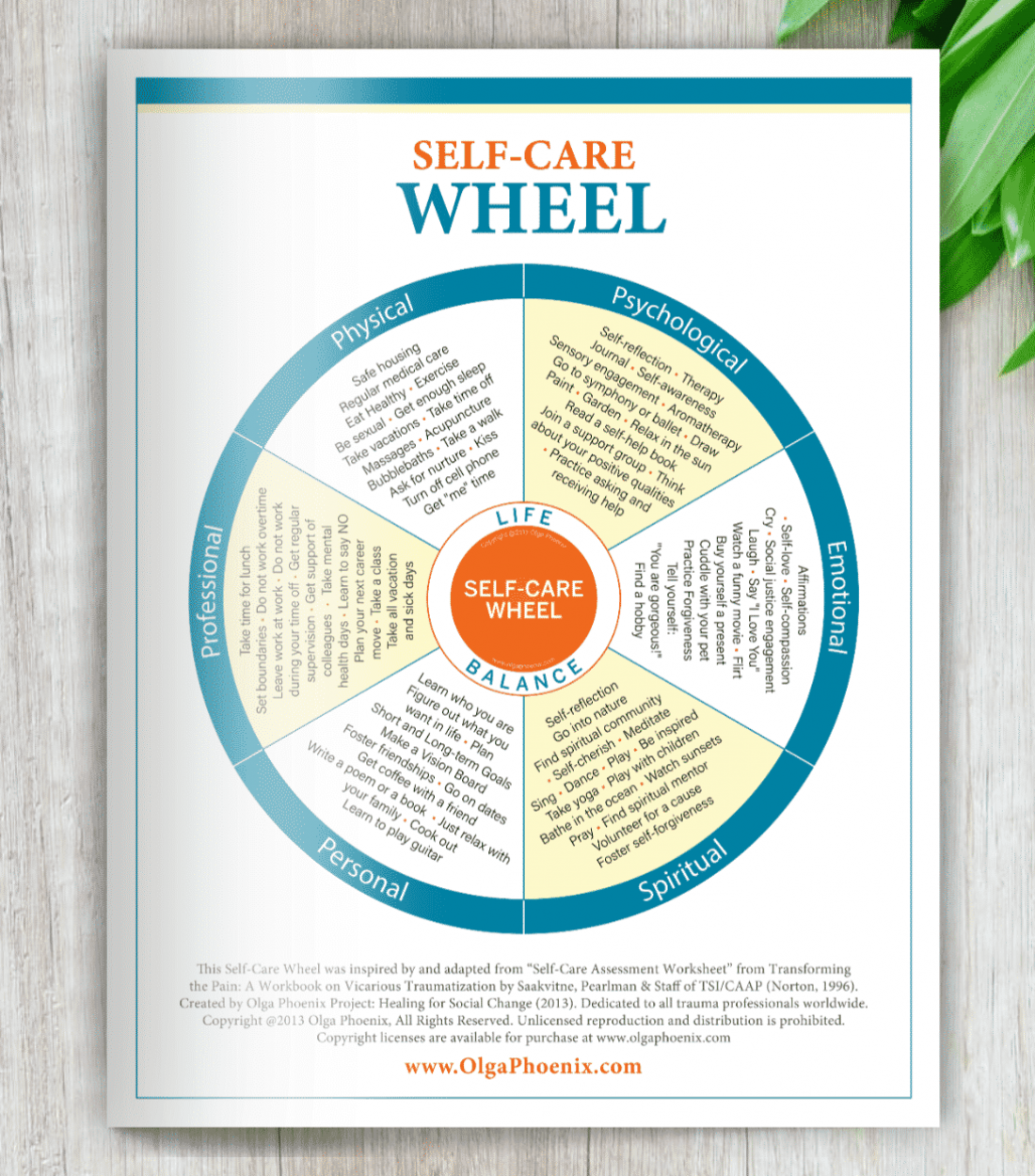 self care wheel example