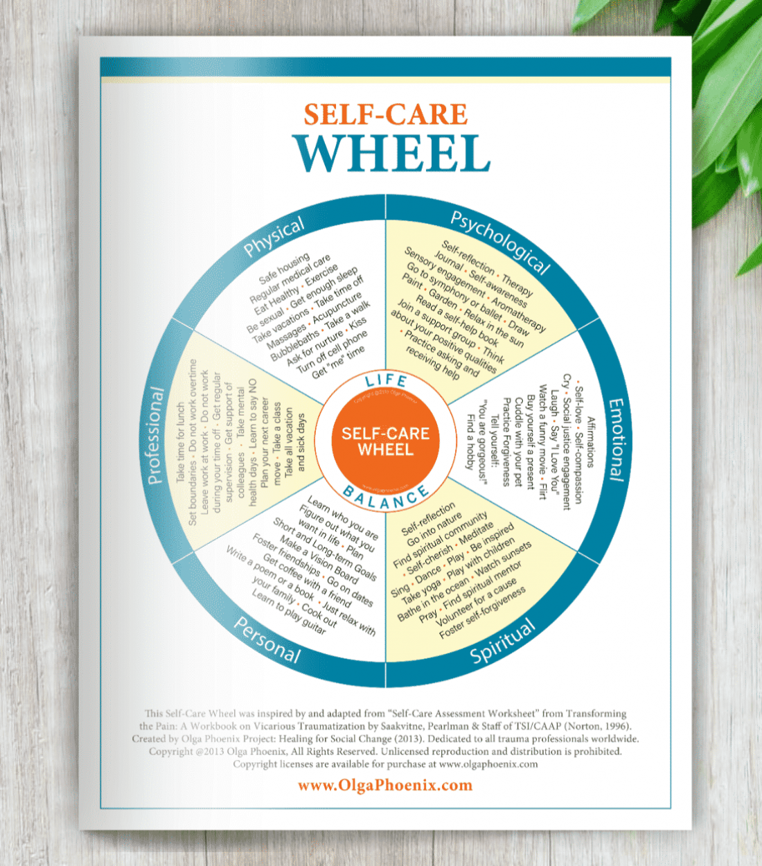 self care wheel world s 1 self care tool olga phoenix